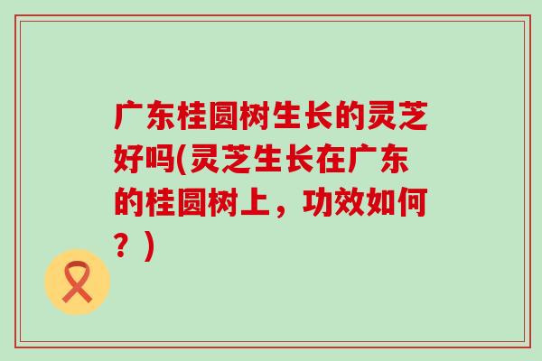 广东桂圆树生长的灵芝好吗(灵芝生长在广东的桂圆树上，功效如何？)