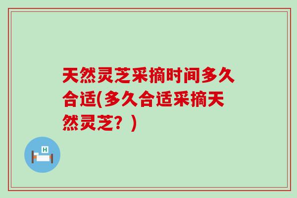 天然灵芝采摘时间多久合适(多久合适采摘天然灵芝？)