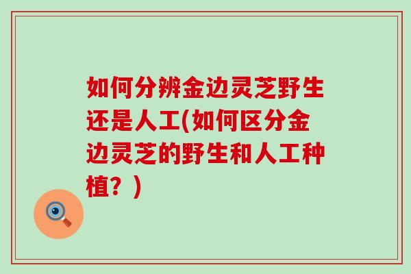 如何分辨金边灵芝野生还是人工(如何区分金边灵芝的野生和人工种植？)