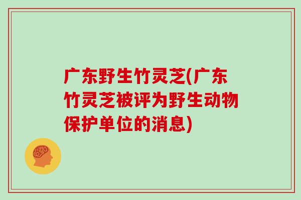 广东野生竹灵芝(广东竹灵芝被评为野生动物保护单位的消息)