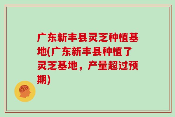 广东新丰县灵芝种植基地(广东新丰县种植了灵芝基地，产量超过预期)