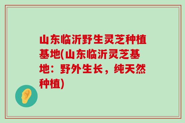 山东临沂野生灵芝种植基地(山东临沂灵芝基地：野外生长，纯天然种植)