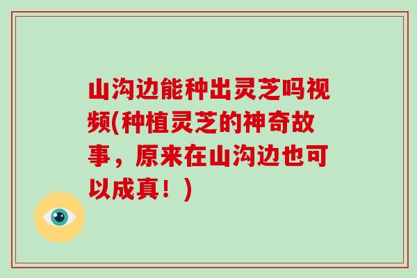 山沟边能种出灵芝吗视频(种植灵芝的神奇故事，原来在山沟边也可以成真！)