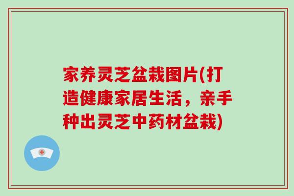 家养灵芝盆栽图片(打造健康家居生活，亲手种出灵芝材盆栽)