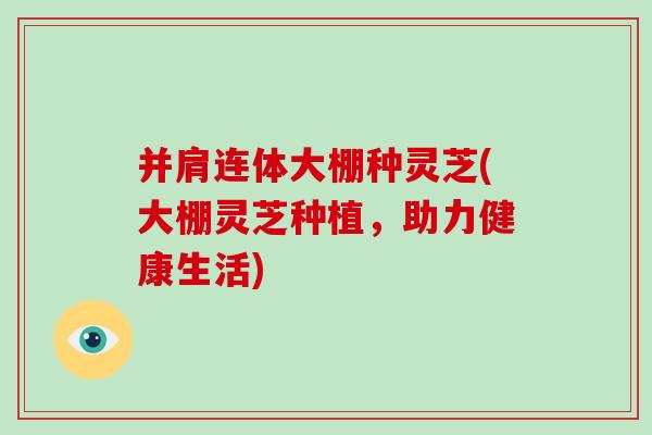 并肩连体大棚种灵芝(大棚灵芝种植，助力健康生活)