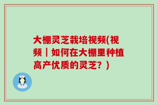 大棚灵芝栽培视频(视频｜如何在大棚里种植高产优质的灵芝？)