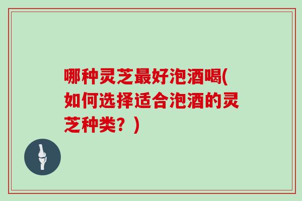 哪种灵芝好泡酒喝(如何选择适合泡酒的灵芝种类？)