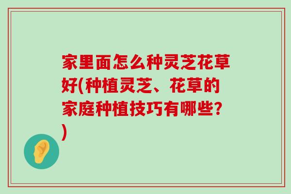 家里面怎么种灵芝花草好(种植灵芝、花草的家庭种植技巧有哪些？)