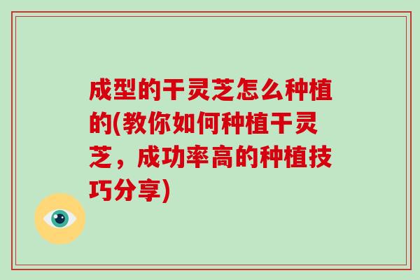 成型的干灵芝怎么种植的(教你如何种植干灵芝，成功率高的种植技巧分享)