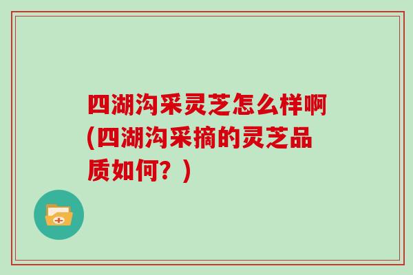 四湖沟采灵芝怎么样啊(四湖沟采摘的灵芝品质如何？)