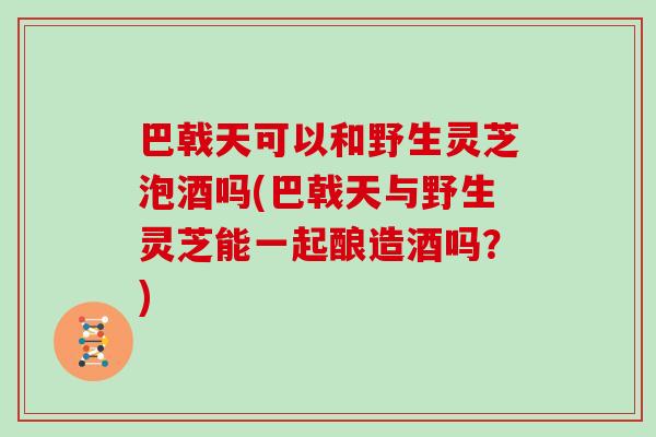 巴戟天可以和野生灵芝泡酒吗(巴戟天与野生灵芝能一起酿造酒吗？)