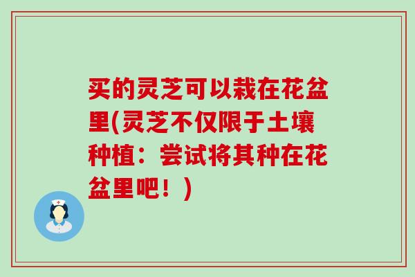 买的灵芝可以栽在花盆里(灵芝不仅限于土壤种植：尝试将其种在花盆里吧！)