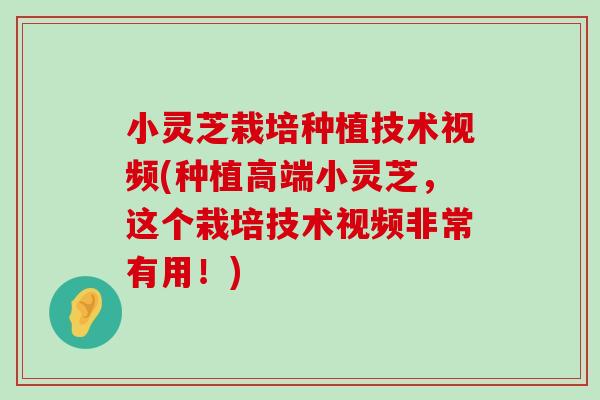 小灵芝栽培种植技术视频(种植高端小灵芝，这个栽培技术视频非常有用！)