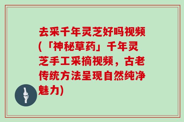 去采千年灵芝好吗视频(「神秘草药」千年灵芝手工采摘视频，古老传统方法呈现自然纯净魅力)