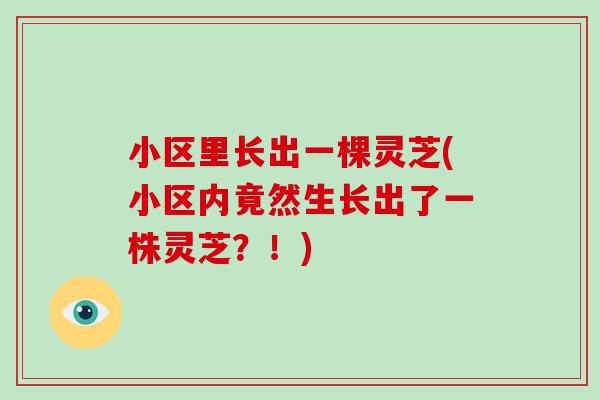 小区里长出一棵灵芝(小区内竟然生长出了一株灵芝？！)