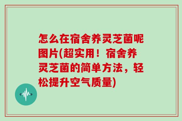 怎么在宿舍养灵芝菌呢图片(超实用！宿舍养灵芝菌的简单方法，轻松提升空气质量)