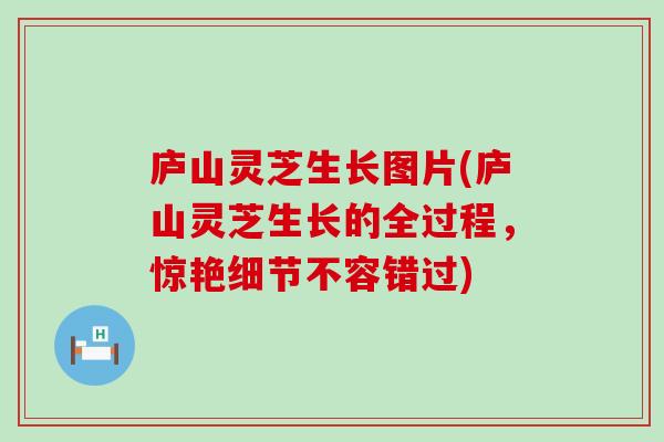 庐山灵芝生长图片(庐山灵芝生长的全过程，惊艳细节不容错过)