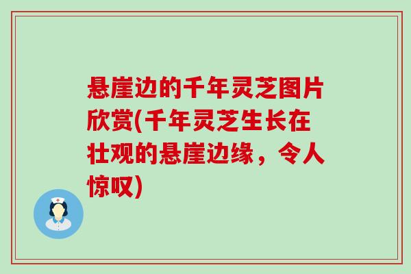 悬崖边的千年灵芝图片欣赏(千年灵芝生长在壮观的悬崖边缘，令人惊叹)