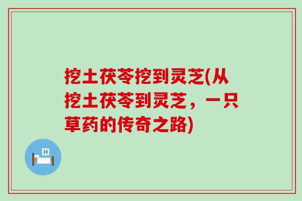 挖土茯苓挖到灵芝(从挖土茯苓到灵芝，一只草药的传奇之路)