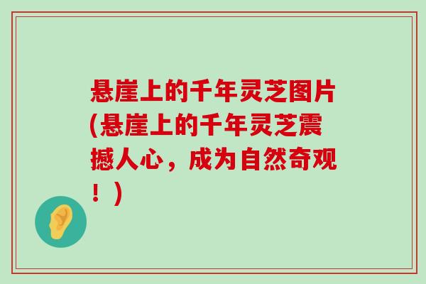 悬崖上的千年灵芝图片(悬崖上的千年灵芝震撼人心，成为自然奇观！)