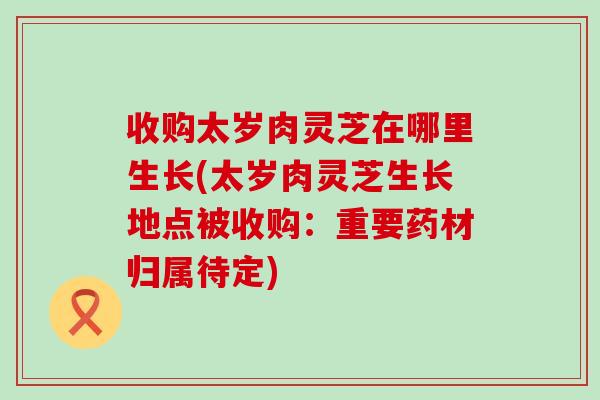 收购太岁肉灵芝在哪里生长(太岁肉灵芝生长地点被收购：重要药材归属待定)