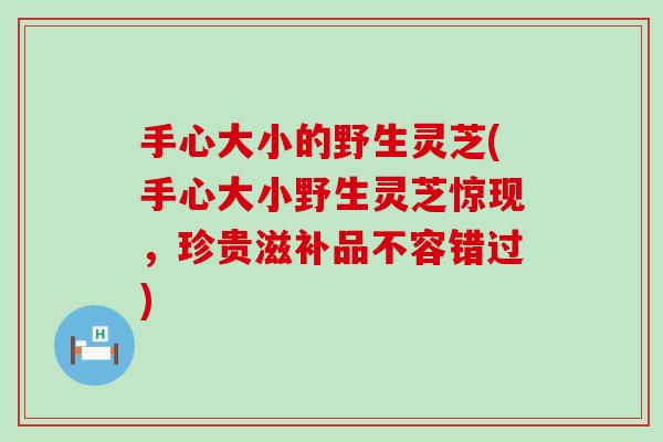 手心大小的野生灵芝(手心大小野生灵芝惊现，珍贵滋补品不容错过)