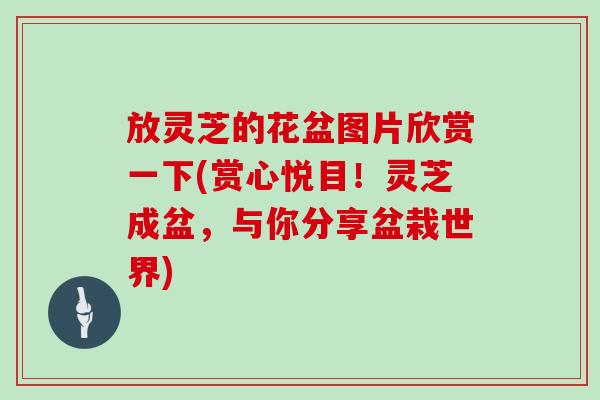 放灵芝的花盆图片欣赏一下(赏心悦目！灵芝成盆，与你分享盆栽世界)