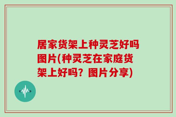 居家货架上种灵芝好吗图片(种灵芝在家庭货架上好吗？图片分享)