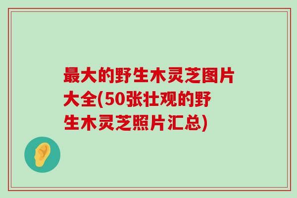 大的野生木灵芝图片大全(50张壮观的野生木灵芝照片汇总)