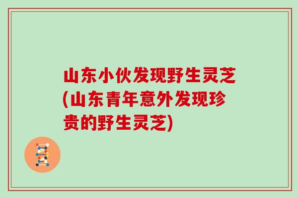 山东小伙发现野生灵芝(山东青年意外发现珍贵的野生灵芝)