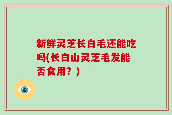 新鲜灵芝长白毛还能吃吗(长白山灵芝毛发能否食用？)