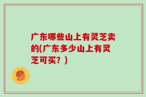 广东哪些山上有灵芝卖的(广东多少山上有灵芝可买？)