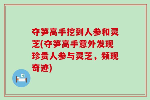 夺笋高手挖到人参和灵芝(夺笋高手意外发现珍贵人参与灵芝，频现奇迹)