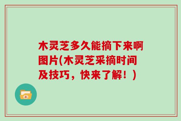 木灵芝多久能摘下来啊图片(木灵芝采摘时间及技巧，快来了解！)