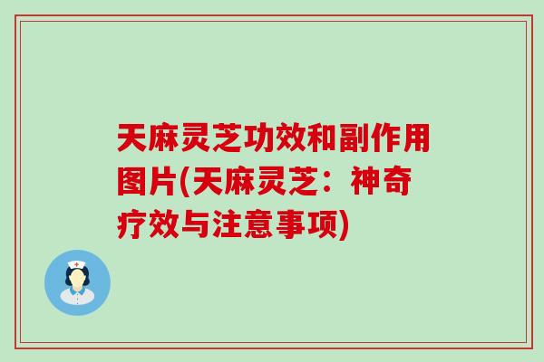 天麻灵芝功效和副作用图片(天麻灵芝：神奇疗效与注意事项)