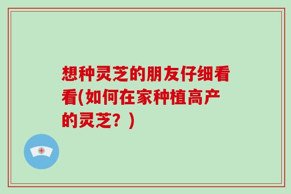 想种灵芝的朋友仔细看看(如何在家种植高产的灵芝？)