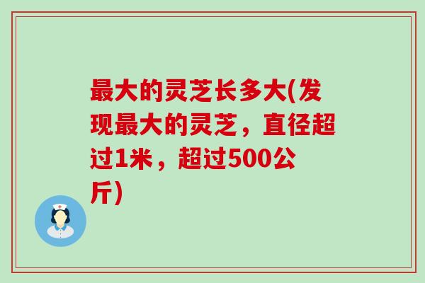 大的灵芝长多大(发现大的灵芝，直径超过1米，超过500公斤)