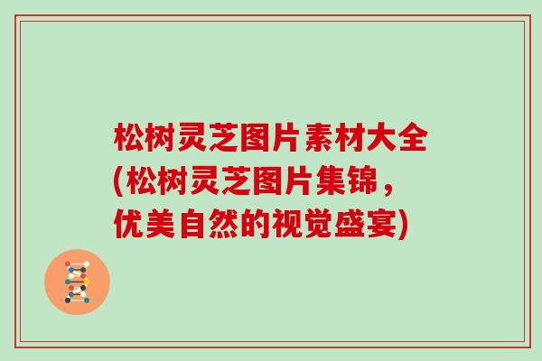 松树灵芝图片素材大全(松树灵芝图片集锦，优美自然的视觉盛宴)