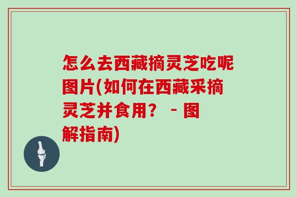 怎么去西藏摘灵芝吃呢图片(如何在西藏采摘灵芝并食用？ - 图解指南)