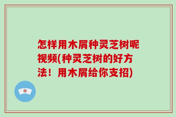 怎样用木屑种灵芝树呢视频(种灵芝树的好方法！用木屑给你支招)