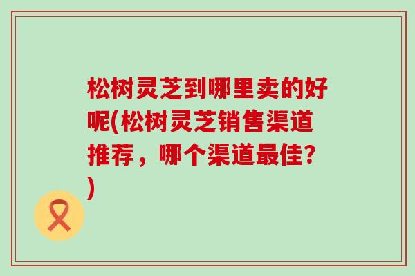 松树灵芝到哪里卖的好呢(松树灵芝销售渠道推荐，哪个渠道佳？)