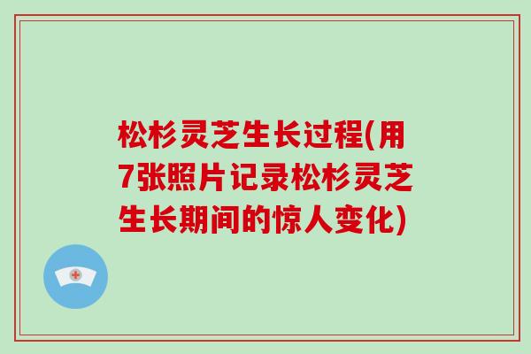 松杉灵芝生长过程(用7张照片记录松杉灵芝生长期间的惊人变化)