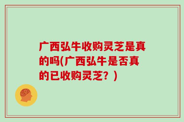 广西弘牛收购灵芝是真的吗(广西弘牛是否真的已收购灵芝？)