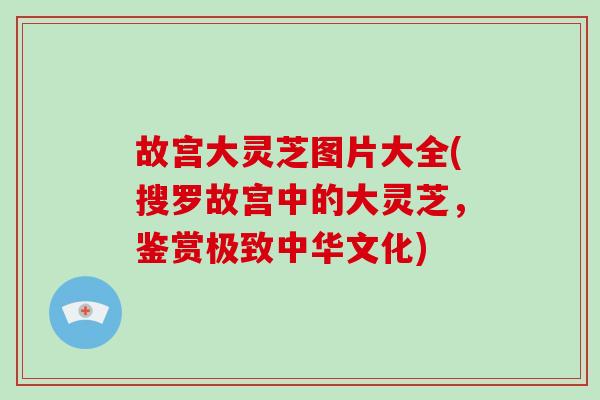 故宫大灵芝图片大全(搜罗故宫中的大灵芝，鉴赏极致中华文化)