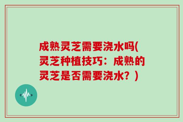 成熟灵芝需要浇水吗(灵芝种植技巧：成熟的灵芝是否需要浇水？)