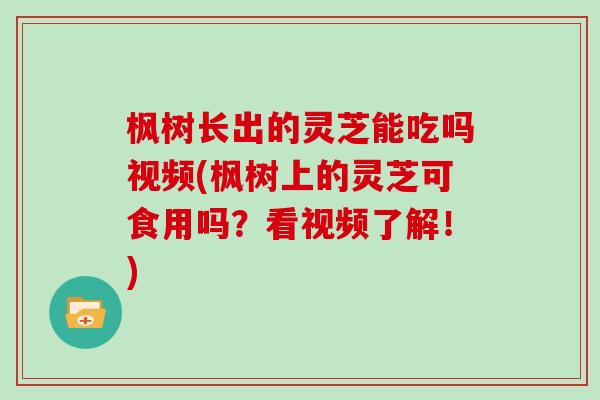 枫树长出的灵芝能吃吗视频(枫树上的灵芝可食用吗？看视频了解！)