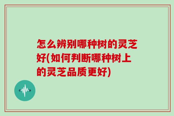 怎么辨别哪种树的灵芝好(如何判断哪种树上的灵芝品质更好)