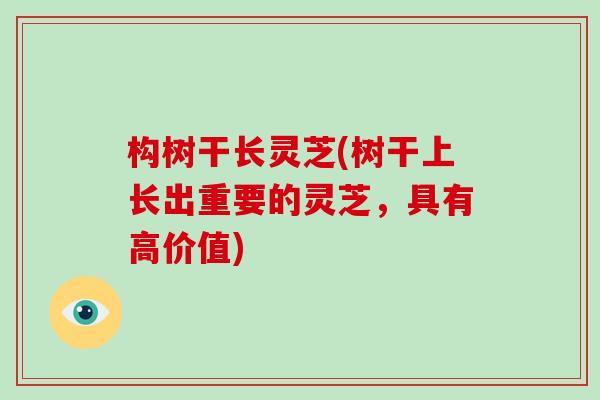 构树干长灵芝(树干上长出重要的灵芝，具有高价值)