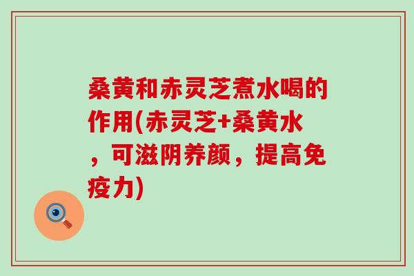 桑黄和赤灵芝煮水喝的作用(赤灵芝+桑黄水，可滋阴养颜，提高免疫力)