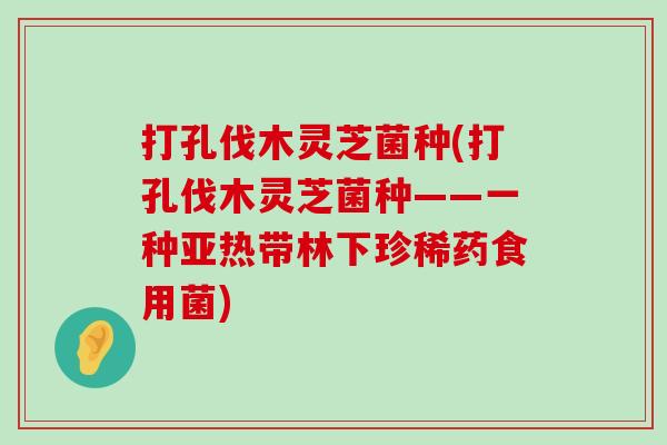 打孔伐木灵芝菌种(打孔伐木灵芝菌种——一种亚热带林下珍稀药食用菌)